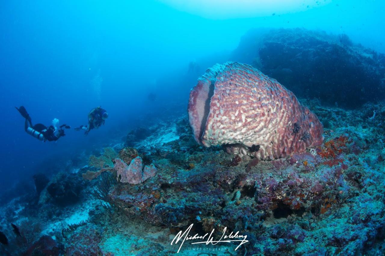 Coriana Dive Resort Waisai Exterior photo